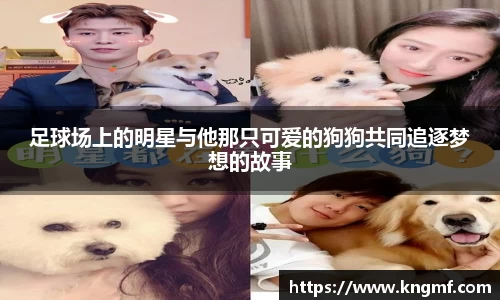 英国(正版)365官方网站